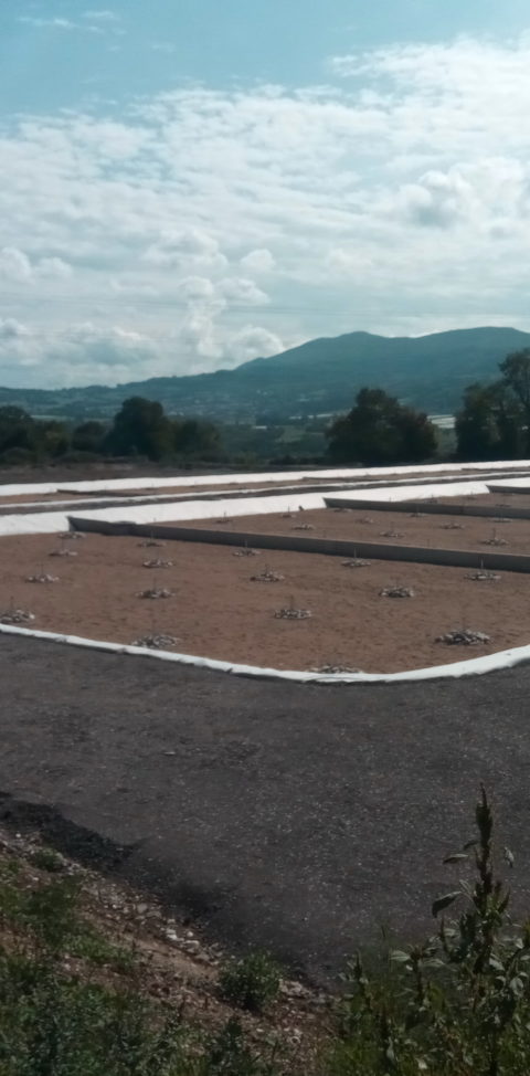 Mise en service de la station d’épuration de Collonges